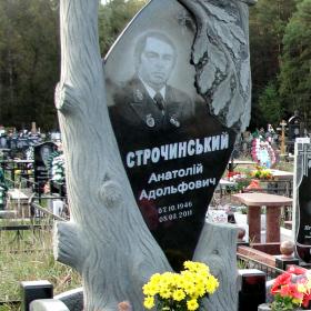 Памятник т121